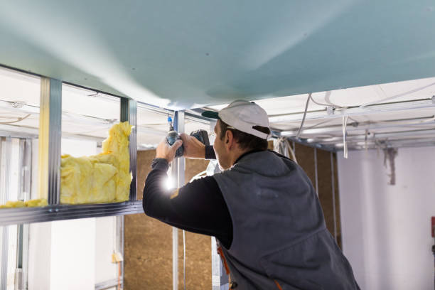 Best Eco-Friendly Insulation in Kalamazoo, MI