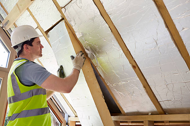Best Insulation Maintenance and Repair in Kalamazoo, MI