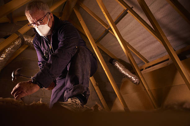 Best Insulation Maintenance and Repair in Kalamazoo, MI