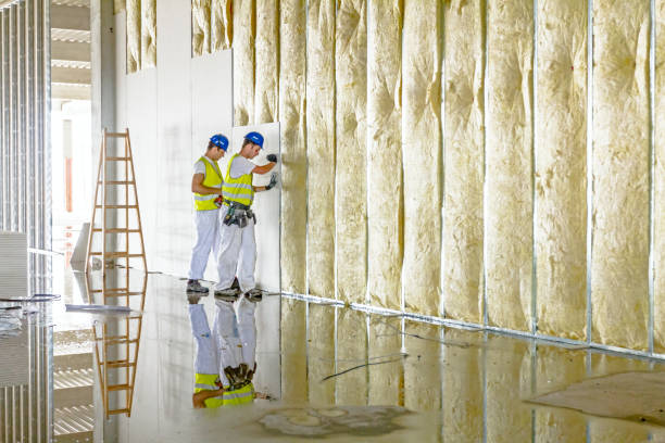 Best Specialized Insulation Services in Kalamazoo, MI